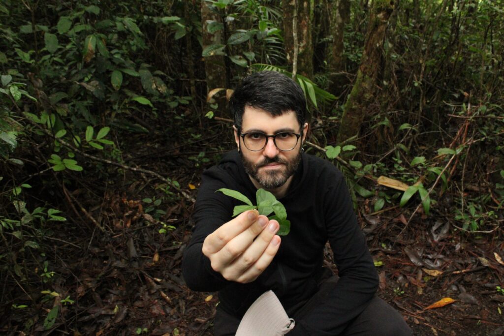 O “mato” que você ignora pode ter nutrientes interessantes para quem corre
