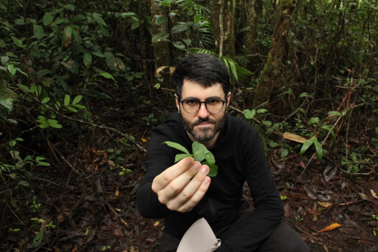 O “mato” que você ignora pode ter nutrientes interessantes para quem corre